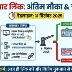 PAN-Aadhaar Link 2025